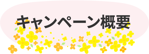 キャンペーン概要