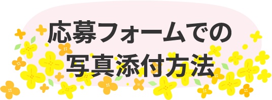 応募フォームでの写真添付方法